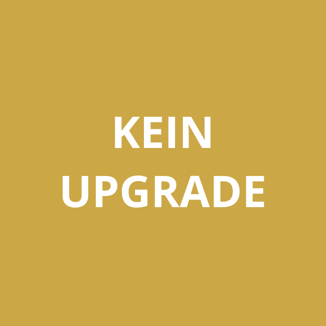 REALDOLL24-kein-Upgrade